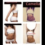 Photo - Camelia