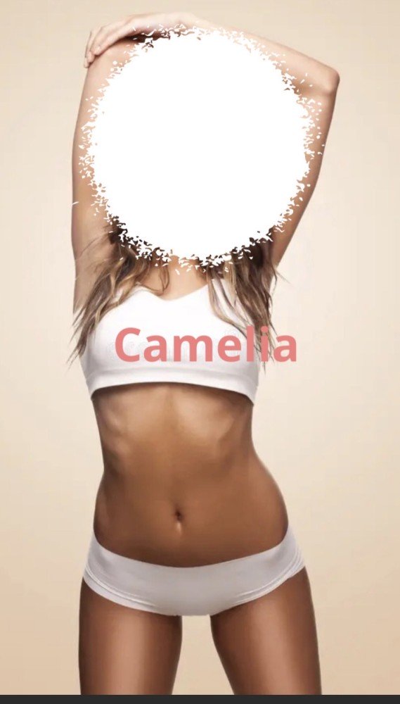 Photo - Camélia