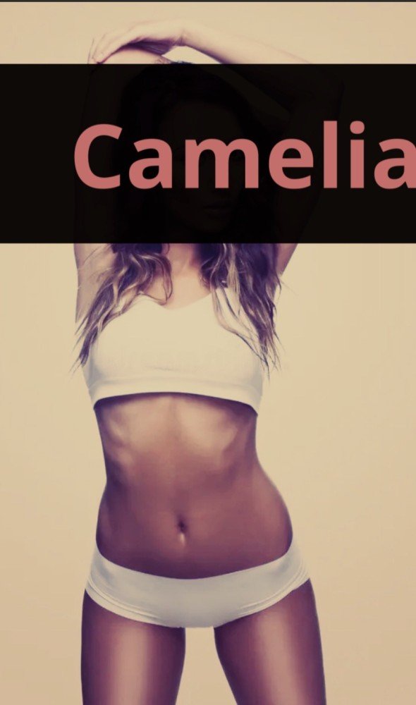 Photo - Camélia