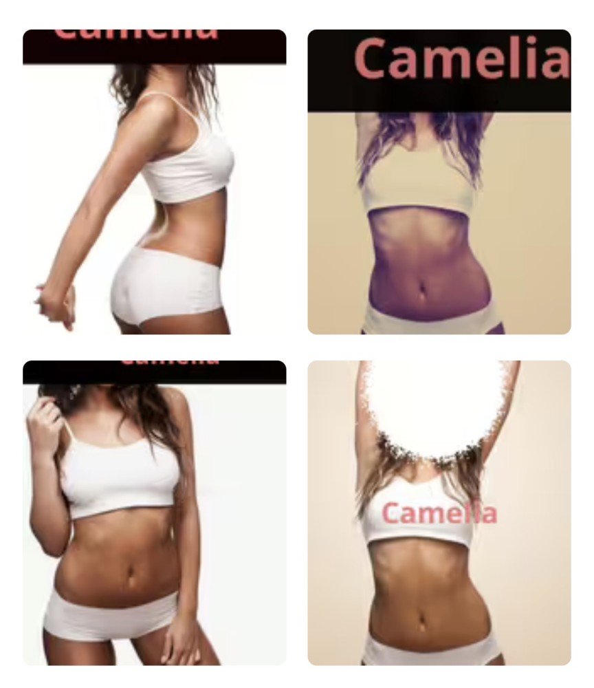Photo - Camelia