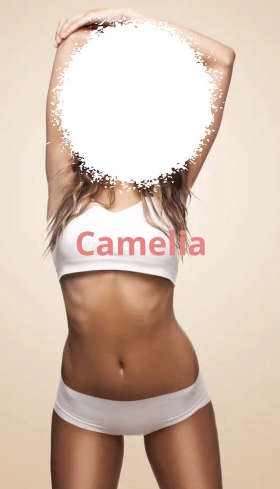 Photo - Camelia
