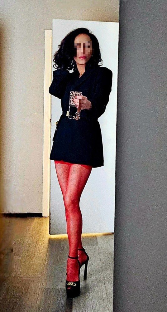 Photo - Katt