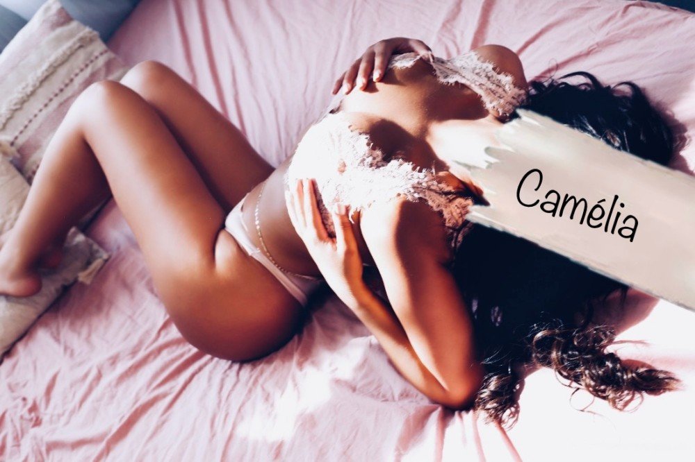 Photo - Camélia