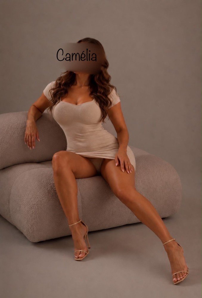 Photo - Camélia