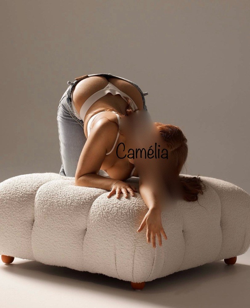 Photo - Camélia